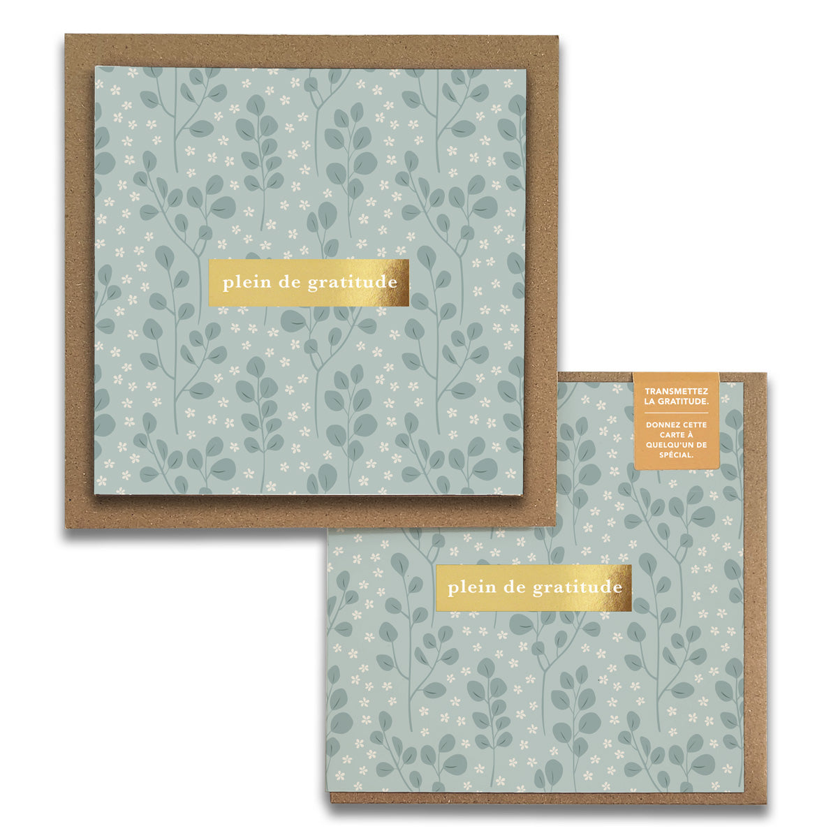 French Eucalyptus Florals  « Plein de Gratitude » — Cartes de Gratitude (Ensemble de 2) — Cartes à Transmettre