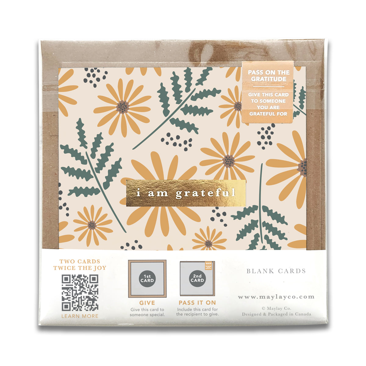 Hello Daisy Floral "I Am Grateful" Gratitude Greeting Cards (Set of 2) — Pay-It-Forward Thank You Cards