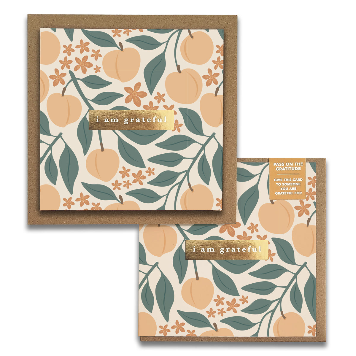 Peaches Floral "I Am Grateful" Gratitude Greeting Cards (Set of 2) — Pay-It-Forward Thank You Cards