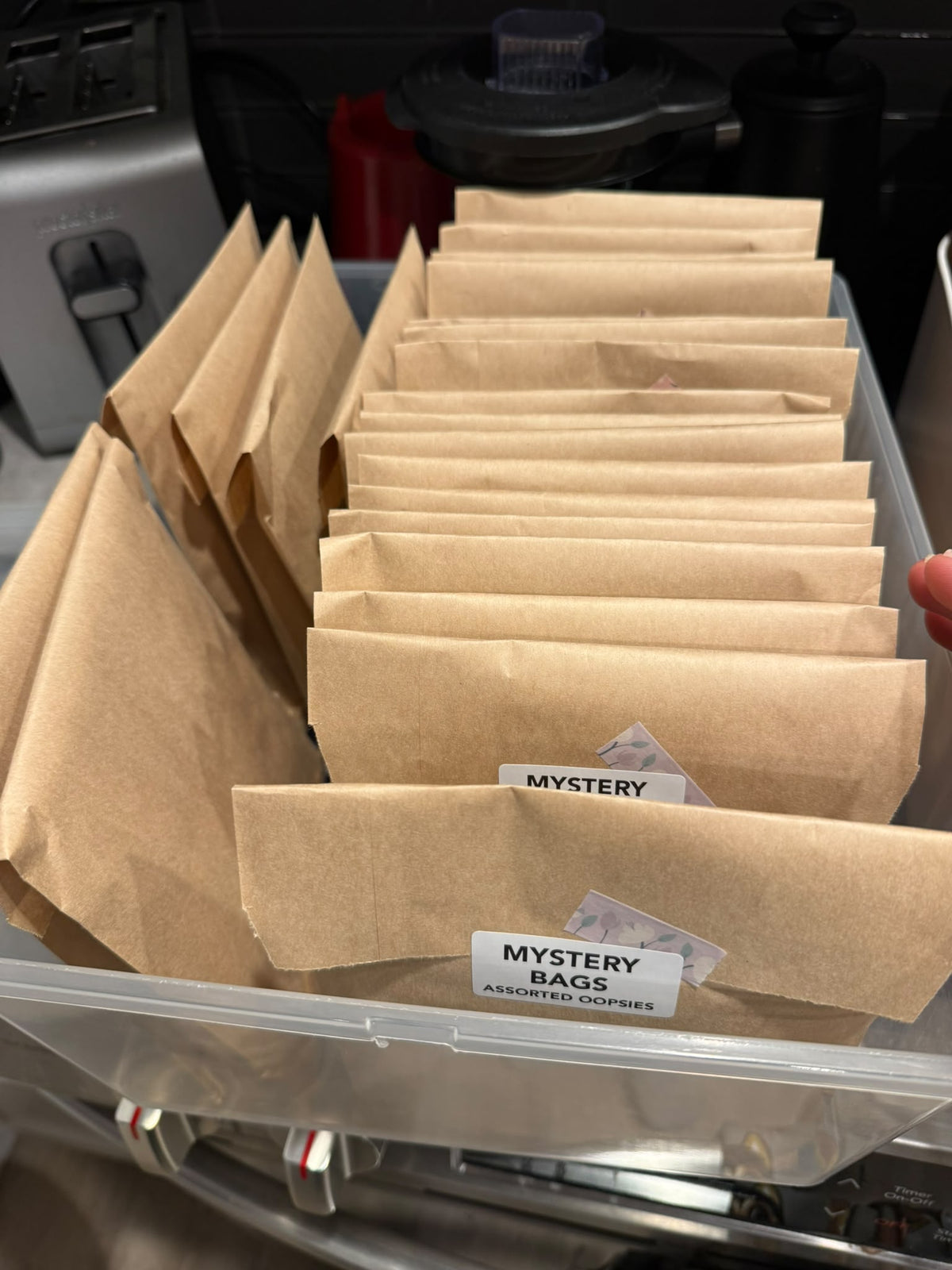 Mystery Bag